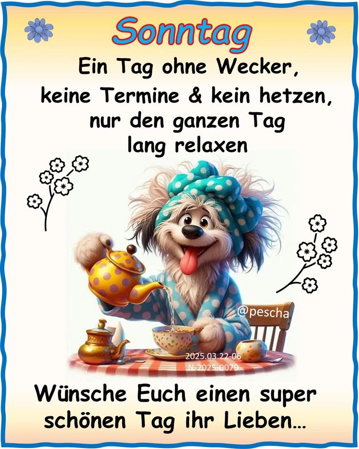 Bilder Schönen Sonntag 96