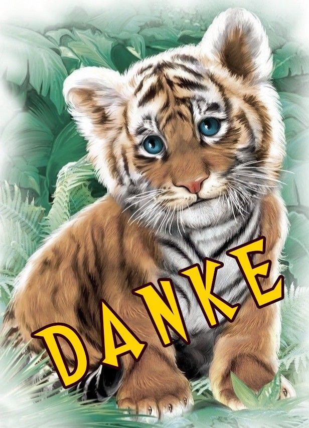 Danke Bild​Er 114
