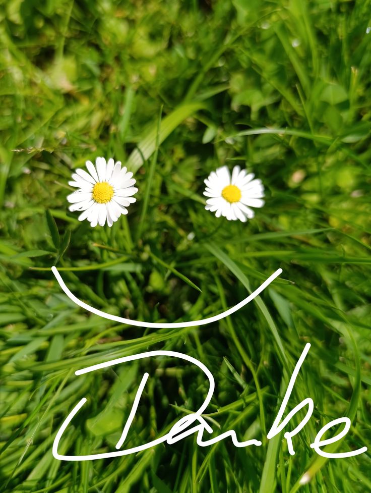 Danke Bild​Er 44