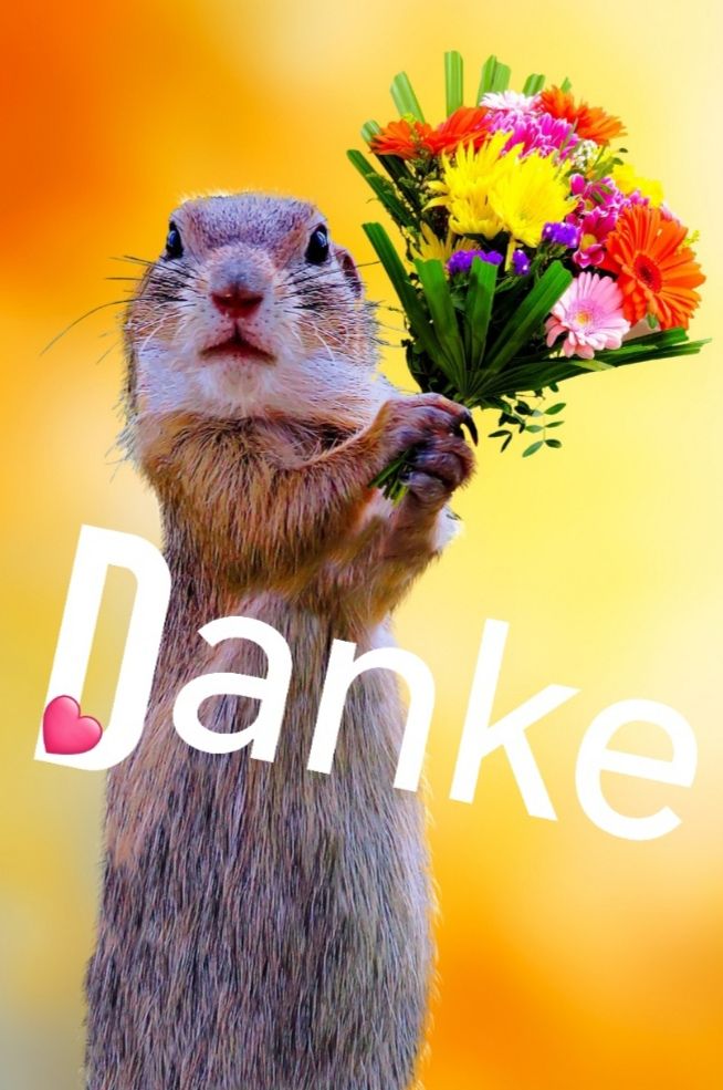 Danke Bild​Er 72