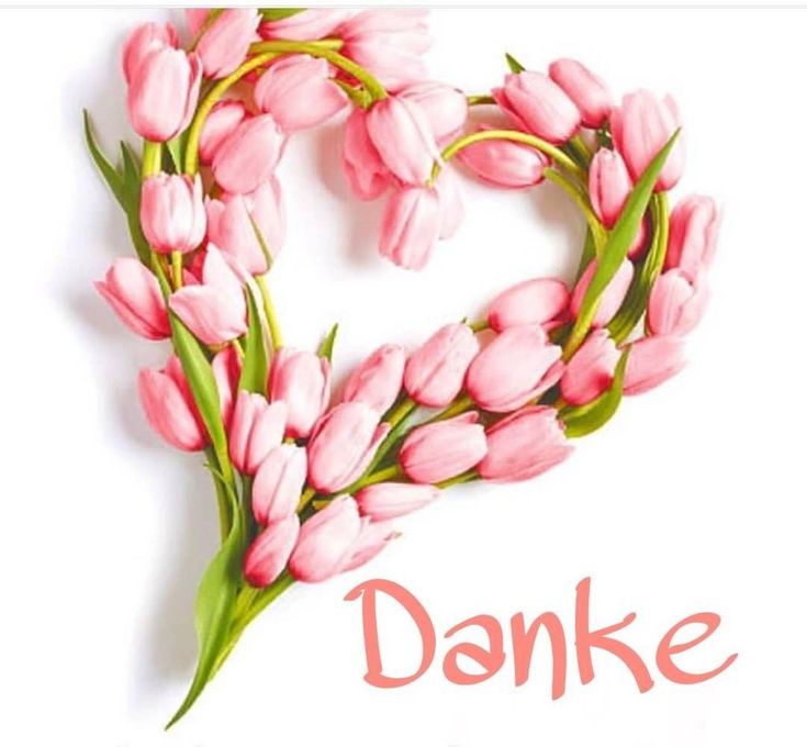Danke Bild​Er 96