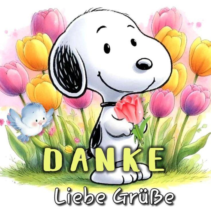Dankeschön Bilder 101