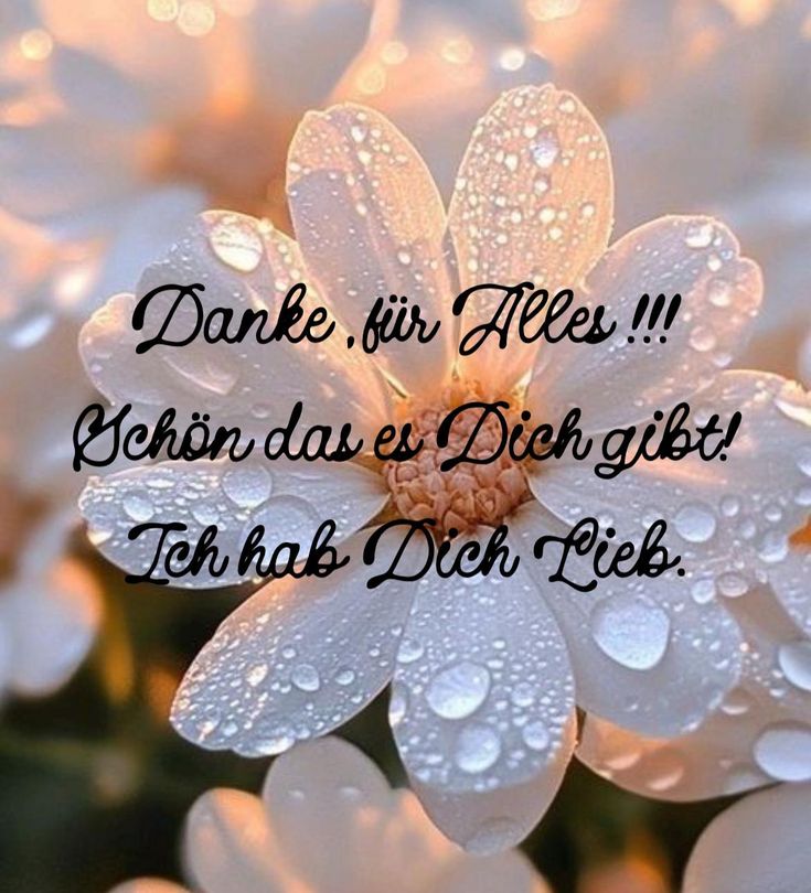 Dankeschön Bilder 139