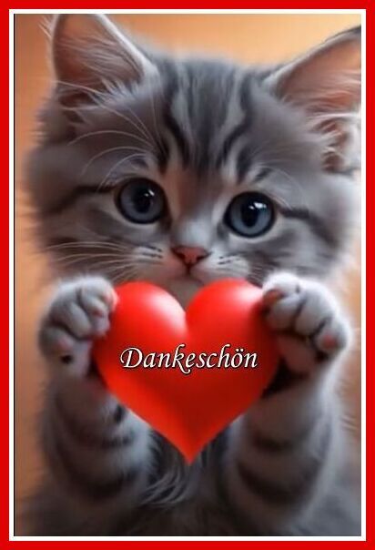 Dankeschön Bilder 145