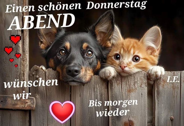Donnerstag Abend Bilder 114