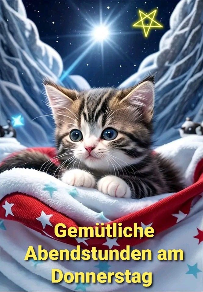 Donnerstag Abend Bilder 129