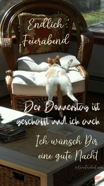 Donnerstag Abend Bilder 13