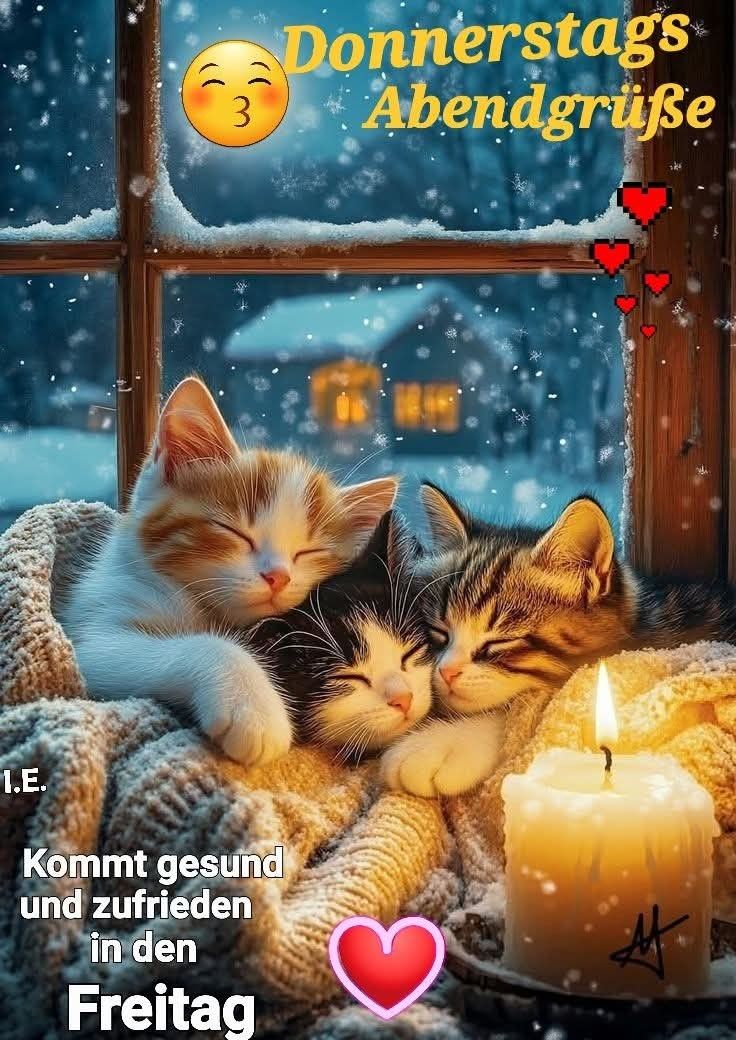 Donnerstag Abend Bilder 14