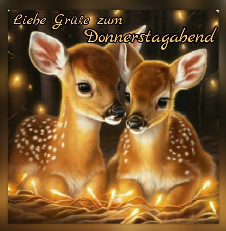 Donnerstag Abend Bilder 149
