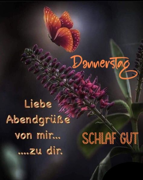 Donnerstag Abend Bilder 15