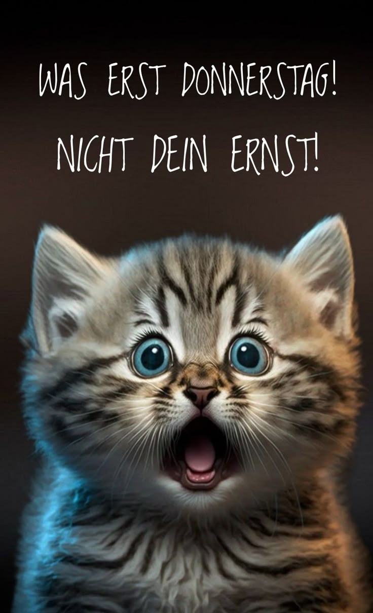 Donnerstag Abend Bilder 2