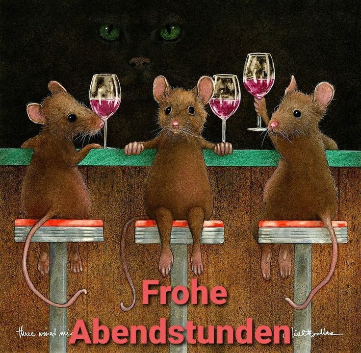 Donnerstag Abend Bilder 27