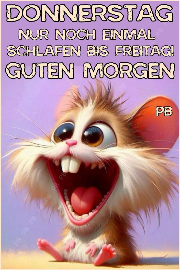 Donnerstag Abend Bilder 30