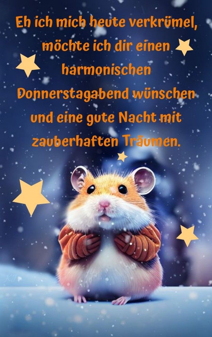 Donnerstag Abend Bilder 36