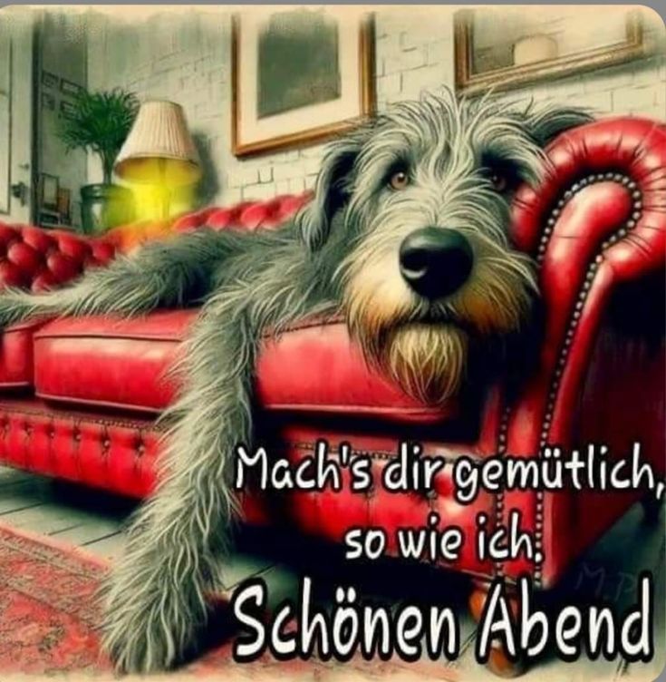Donnerstag Abend Bilder 64