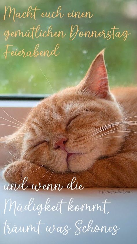Donnerstag Abend Bilder 84