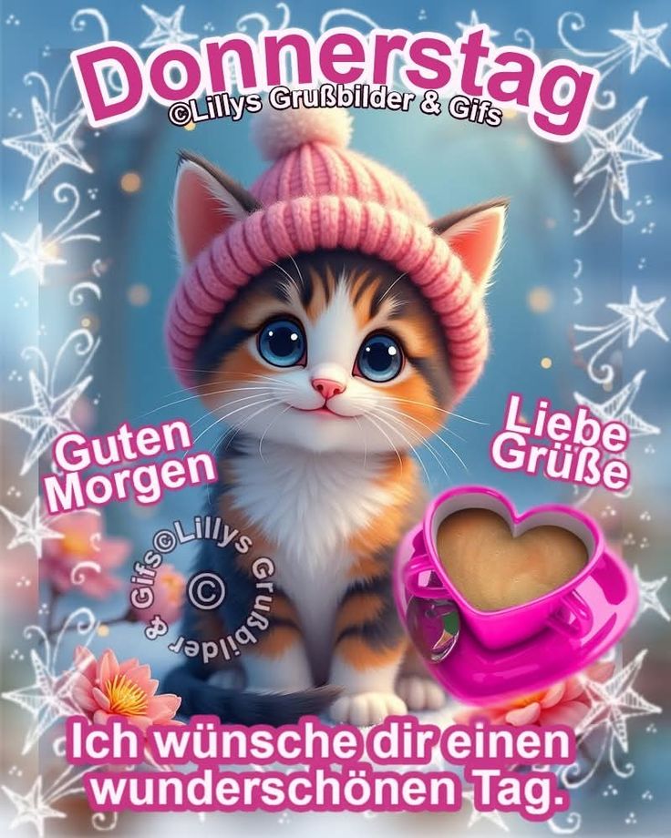Donnerstag Bilder 11