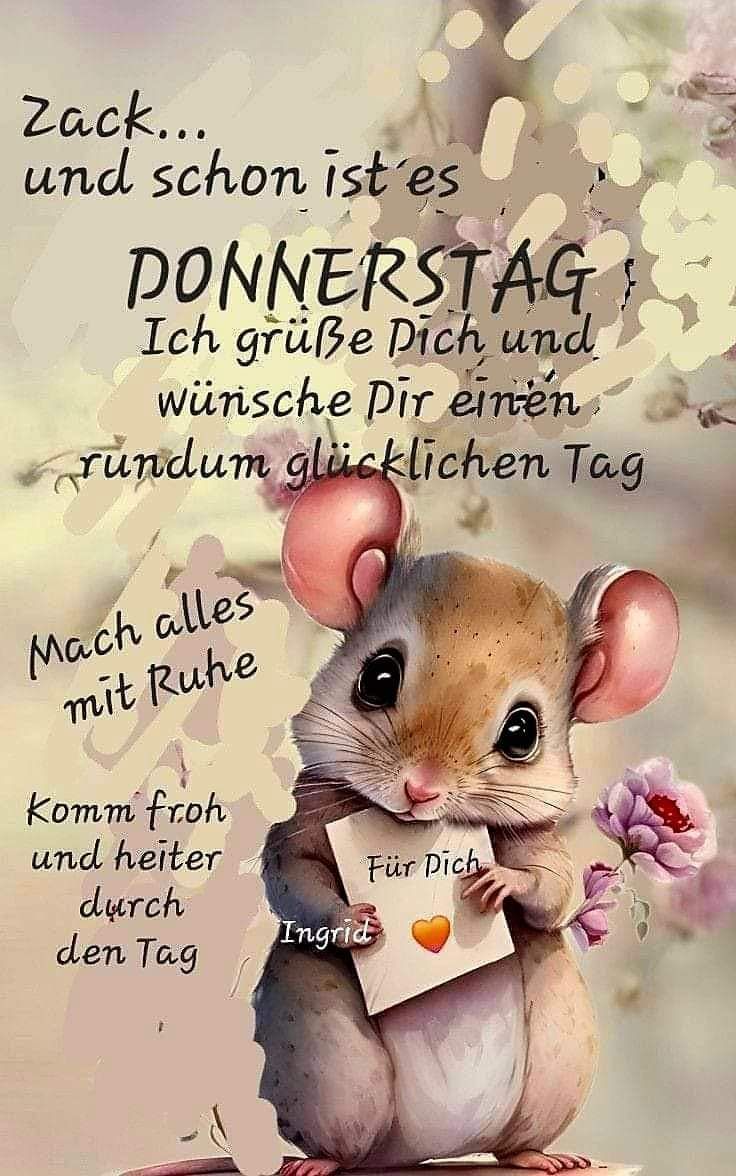 Donnerstag Bilder 113