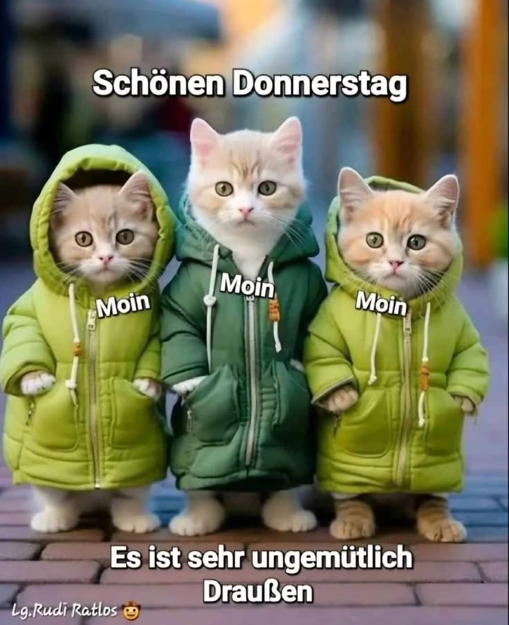 Donnerstag Bilder 114
