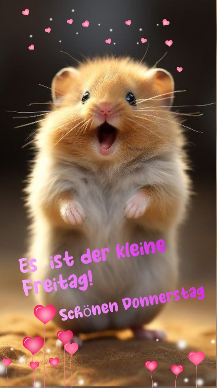 Donnerstag Bilder 115