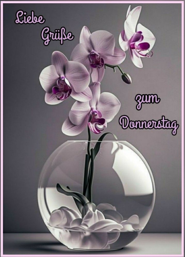 Donnerstag Bilder 121
