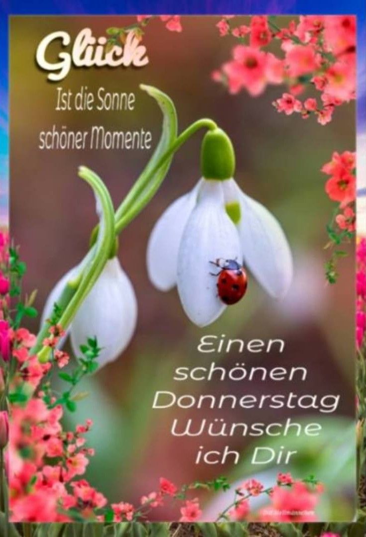 Donnerstag Bilder 138