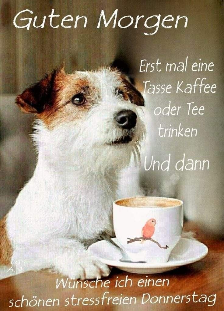 Donnerstag Bilder 18