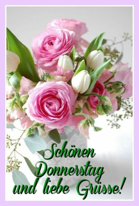 Donnerstag Bilder 19