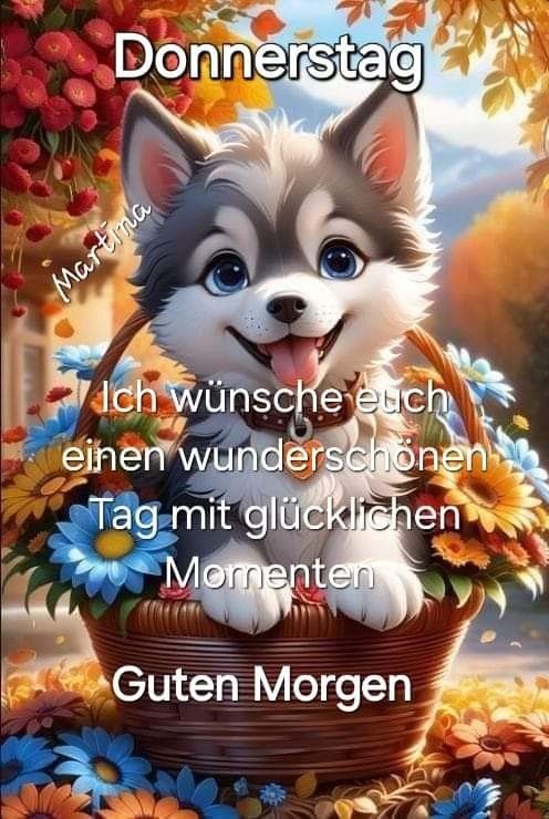 Donnerstag Bilder 21