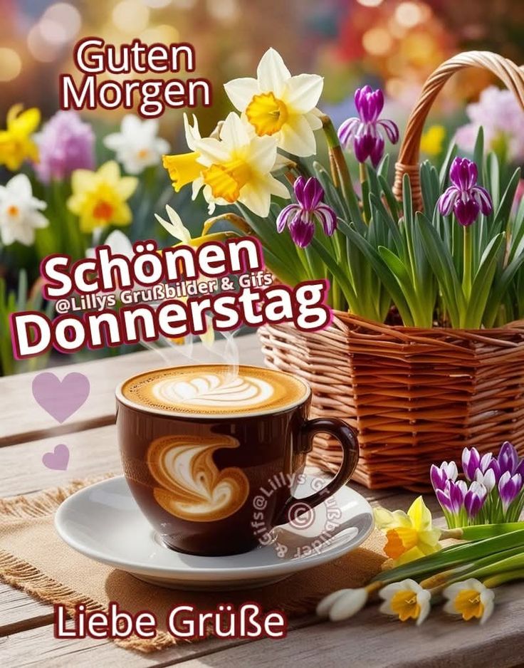 Donnerstag Bilder 24