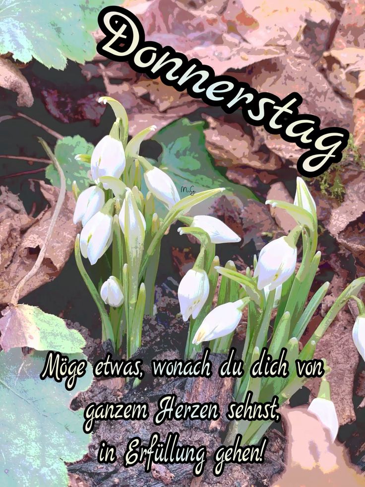 Donnerstag Bilder 3