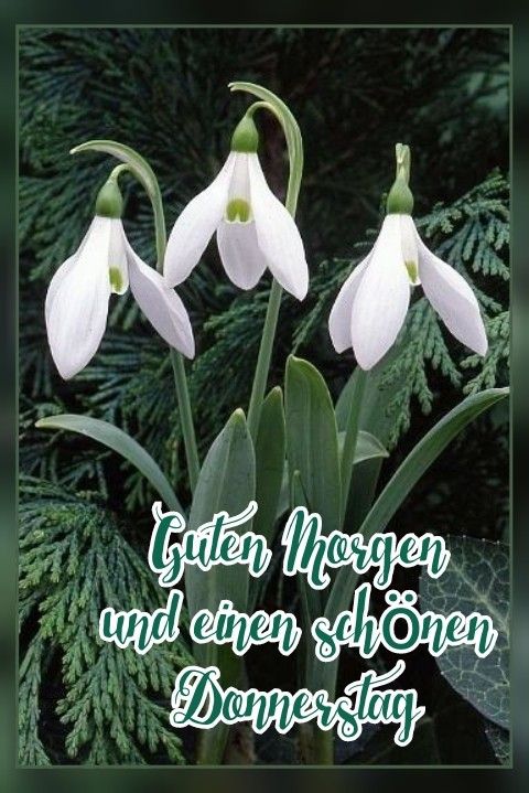 Donnerstag Bilder 45