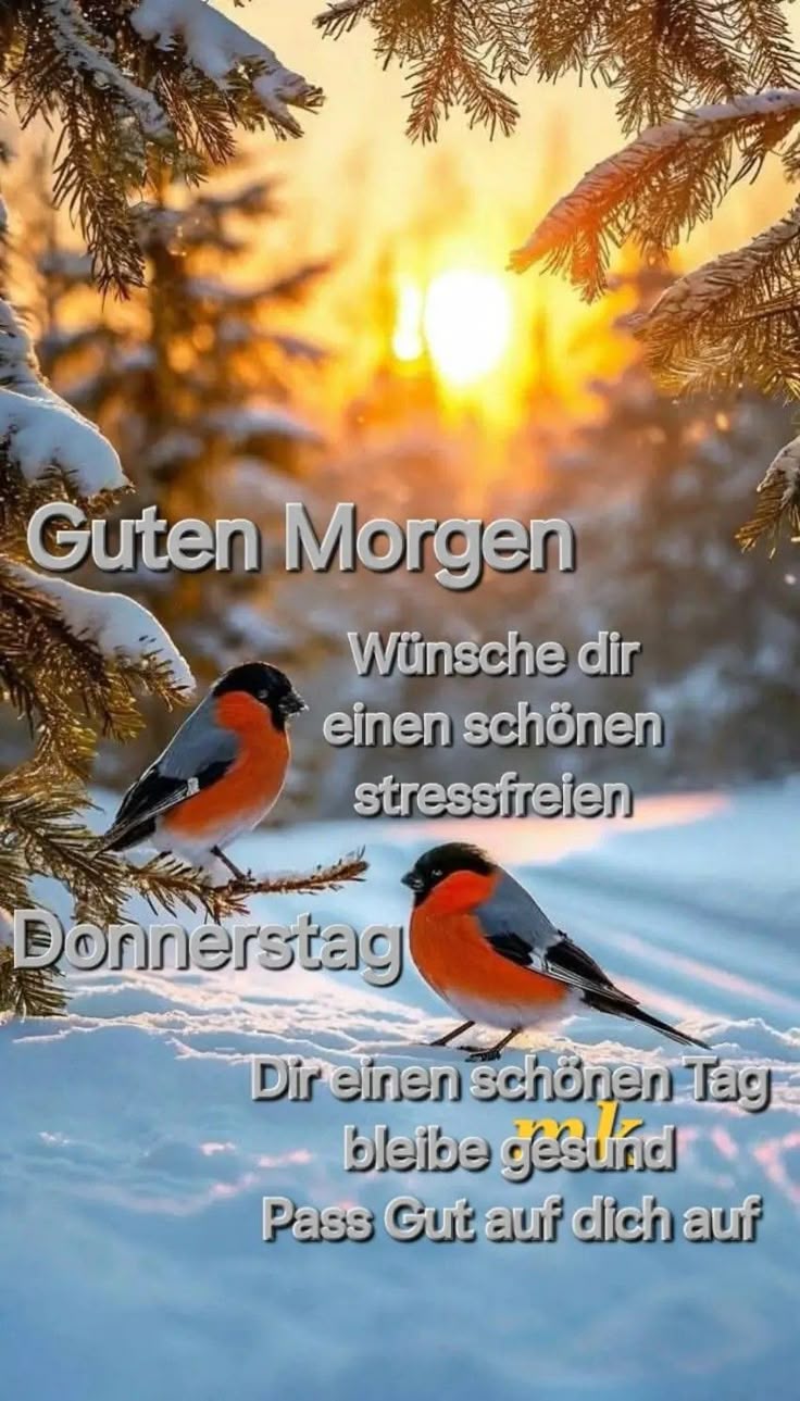 Donnerstag Bilder 49