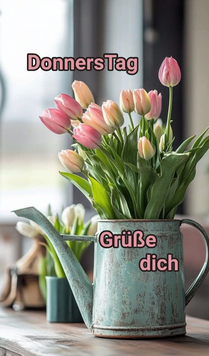 Donnerstag Bilder 5