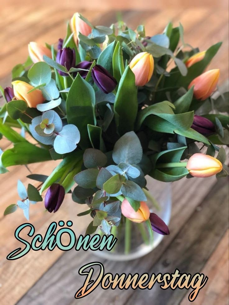 Donnerstag Bilder 55