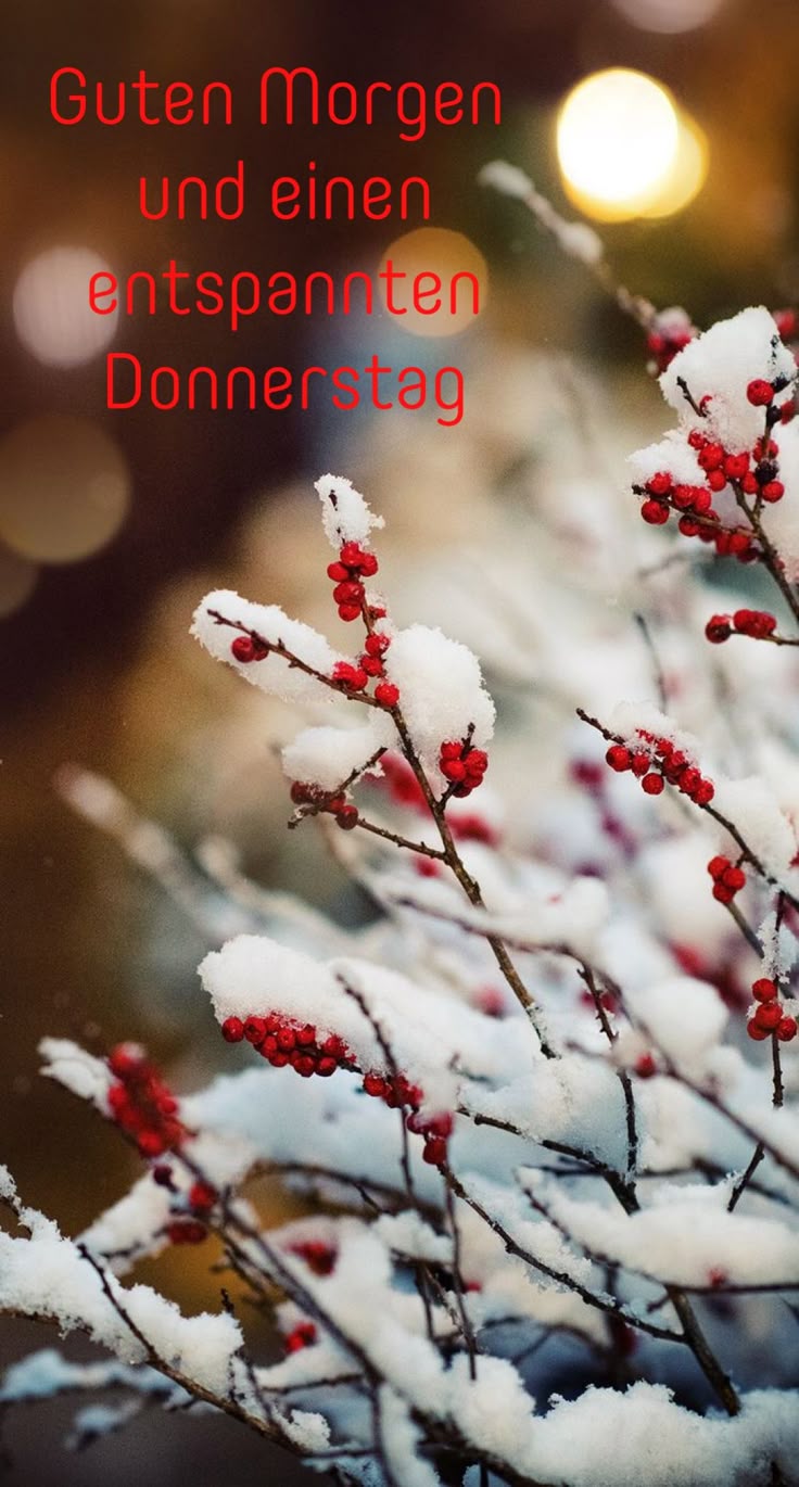 Donnerstag Bilder 58