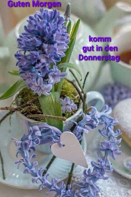 Donnerstag Bilder 60