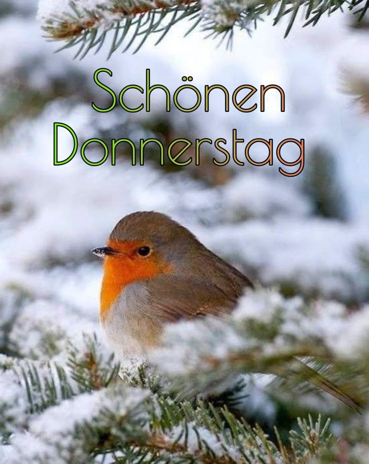 Donnerstag Bilder 62