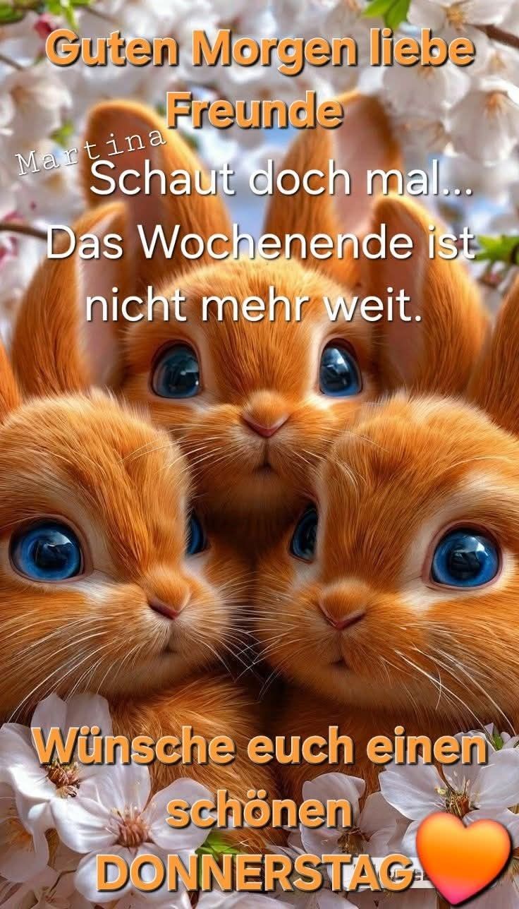 Donnerstag Bilder 68