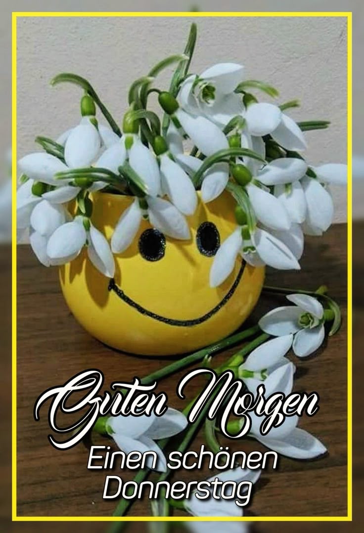 Donnerstag Bilder 71