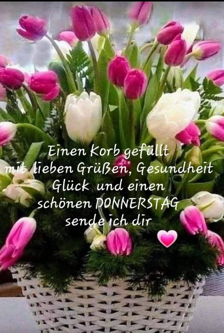 Donnerstag Bilder 73
