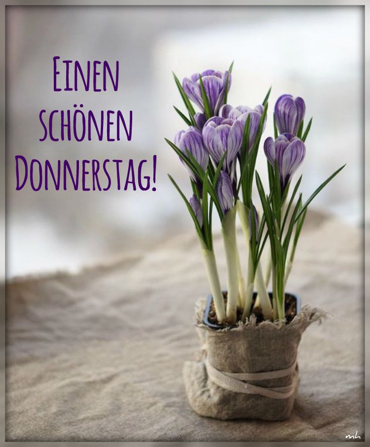 Donnerstag Bilder 9