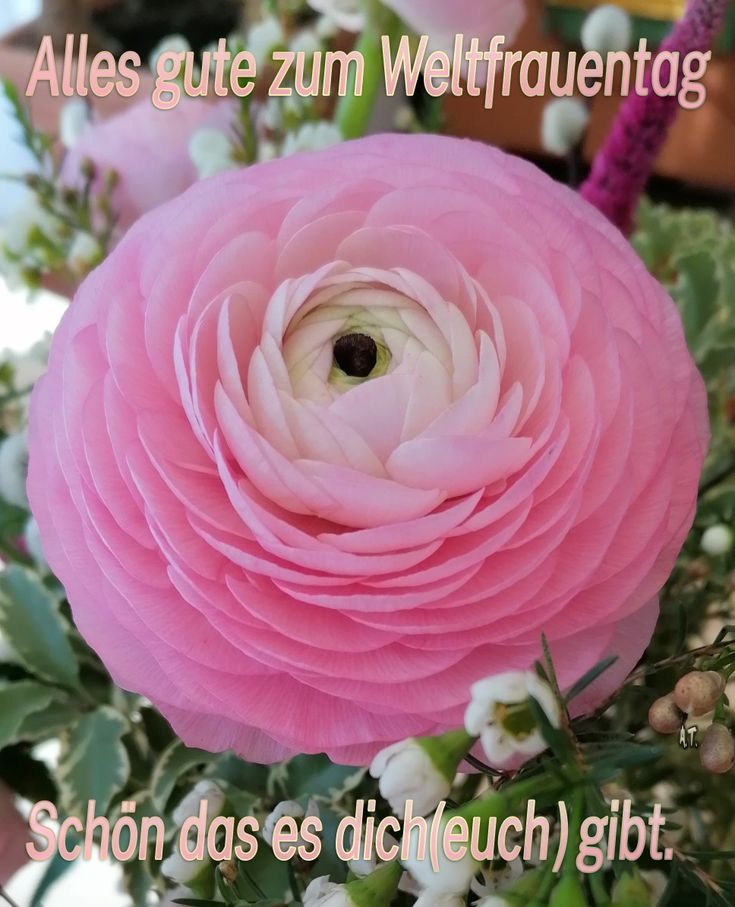Frauentag Bilder 77