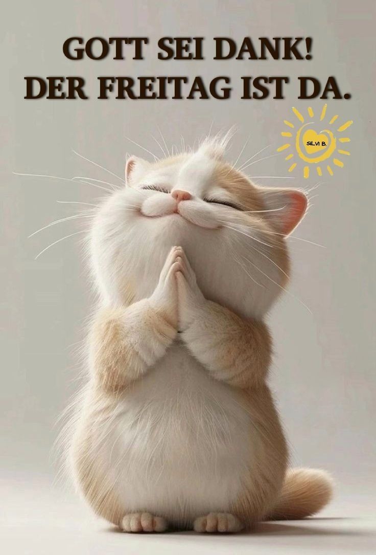 Freitag Bilder Lustig 10
