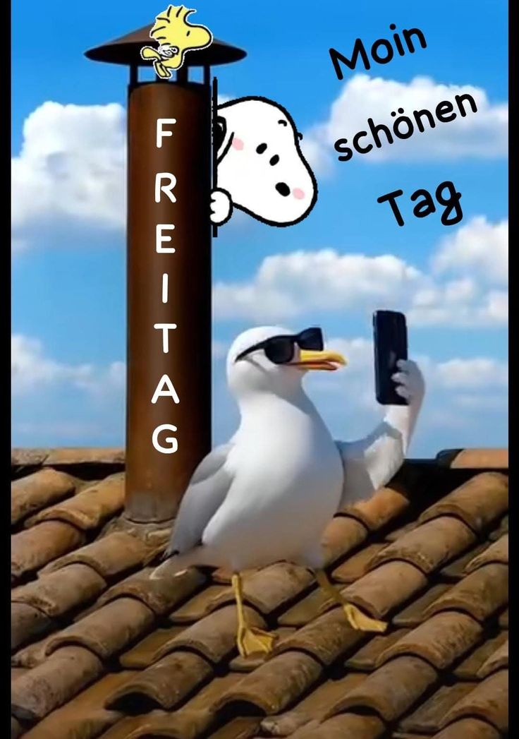 Freitag Bilder Lustig 102