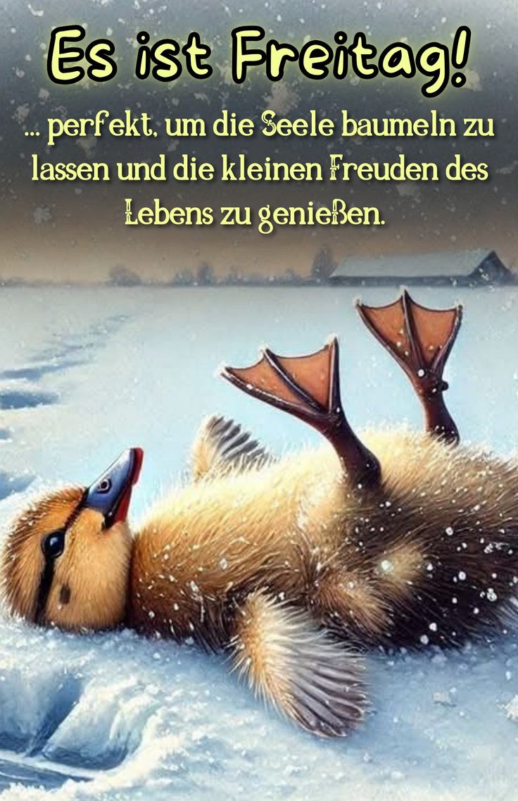 Freitag Bilder Lustig 103