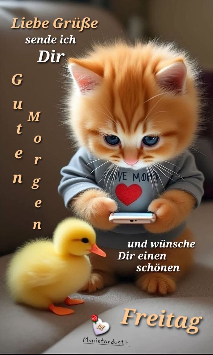 Freitag Bilder Lustig 112