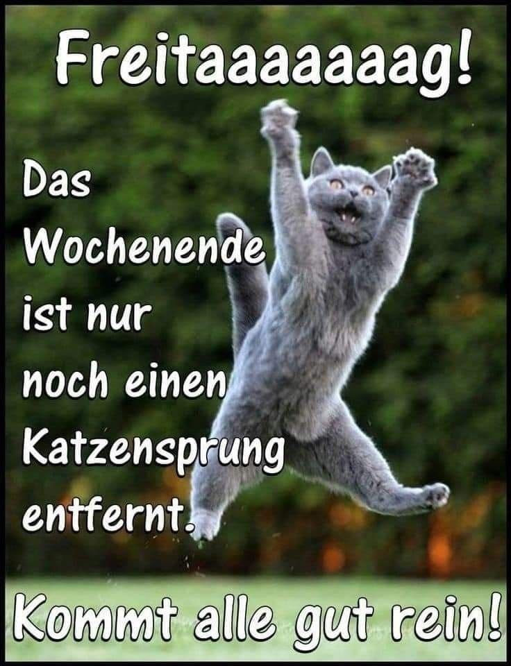 Freitag Bilder Lustig 129