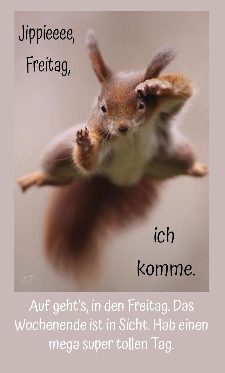 Freitag Bilder Lustig 13