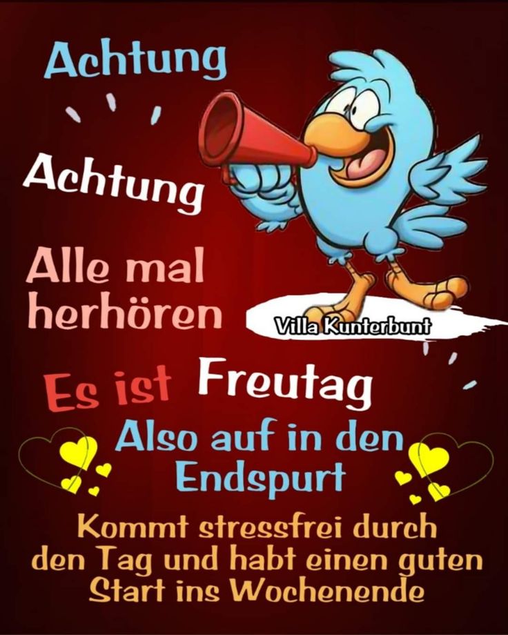 Freitag Bilder Lustig 137